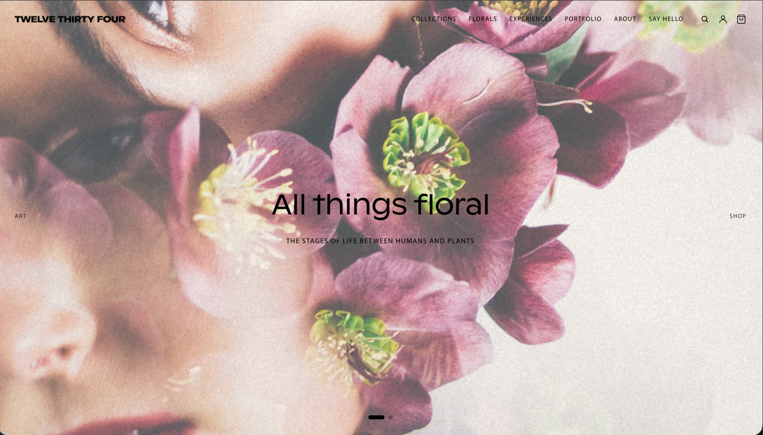 E-commerce (Shopify) 2